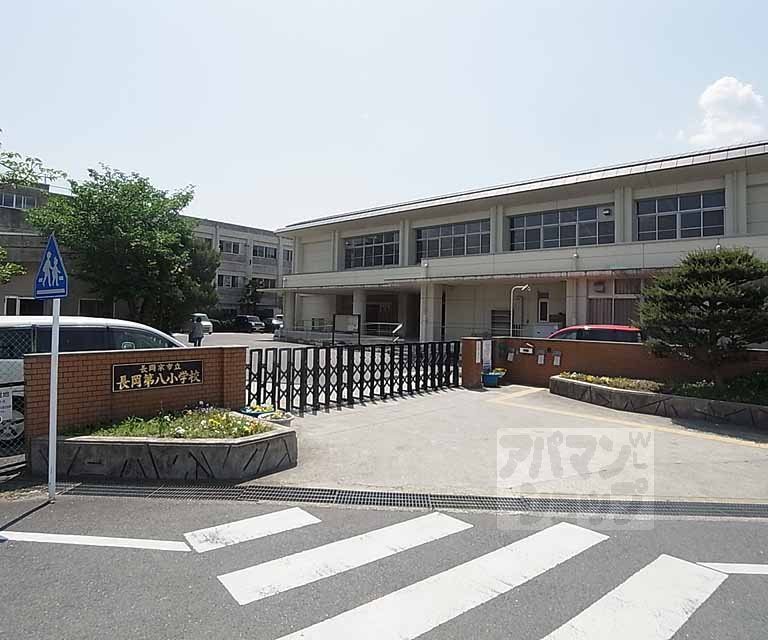 小学校　長岡第八小学校（小学校）まで250m