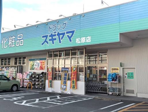 ドラックストア　ドラッグスギヤマ松原店（ドラッグストア）まで910m
