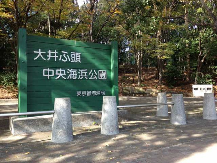 公園　大井ふ頭中央海浜公園（公園）まで900m