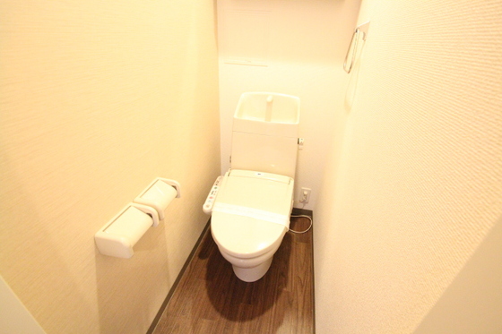トイレ　※別号室の写真です