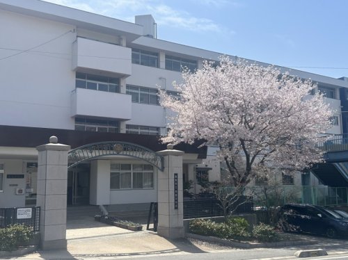 中学校　倉敷市立児島中学校（中学校）まで395m