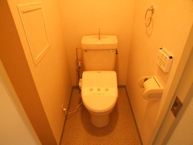 ハイレスト五日市のトイレ写真