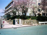 小学校　有野東小学校（小学校）まで3096m
