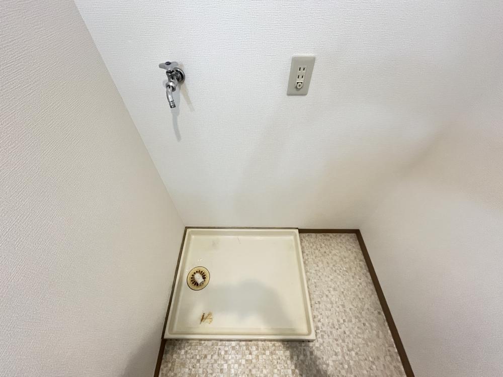 アビタコシキイワのその他写真