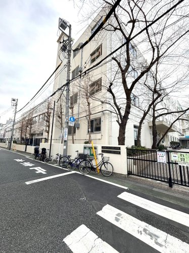 小学校　文京区立根津小学校（小学校）まで500m
