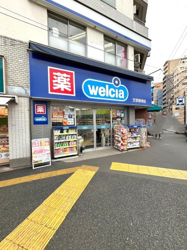 ドラックストア　ウエルシア文京根津店（ドラッグストア）まで422m