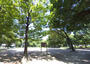 公園　十三公園（公園）まで315m