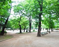公園　江原公園（公園）まで412m