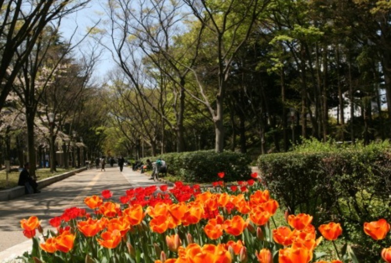 公園　靱公園（公園）まで378m