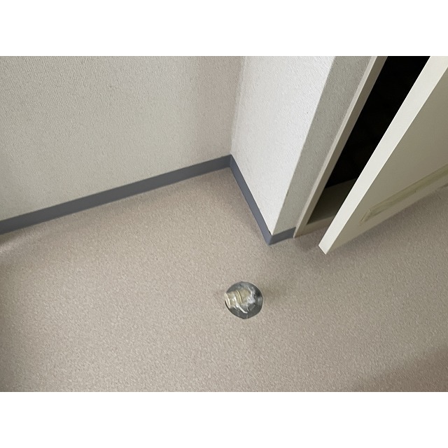 その他設備　他部屋写真