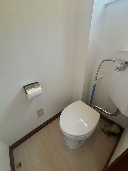 南19条西12丁目 店舗付住宅のトイレ写真