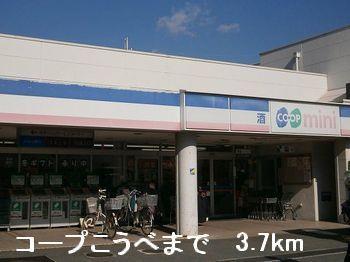 クール・ヴィヴァーチェCのその他写真