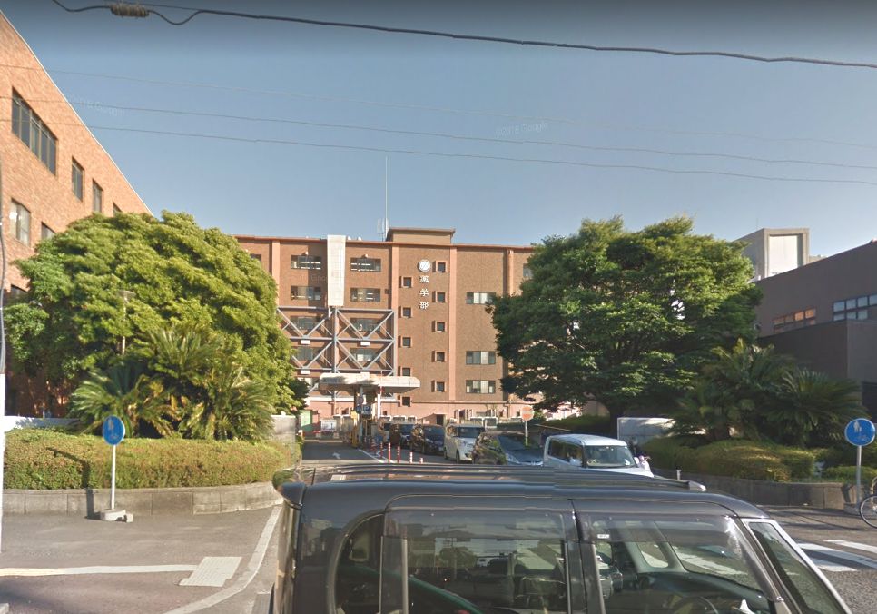 大学・短大　国立徳島大学薬学部（大学・短大）まで221m