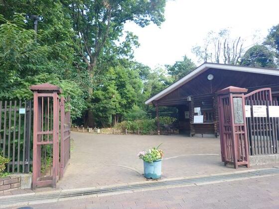 公園　目白の森（公園）まで282m