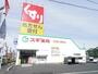 その他　スギ薬局（その他）まで300m