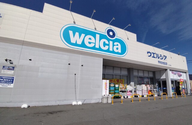 ドラックストア　ウエルシア甲府池田店　徒歩９分（ドラッグストア）まで700m