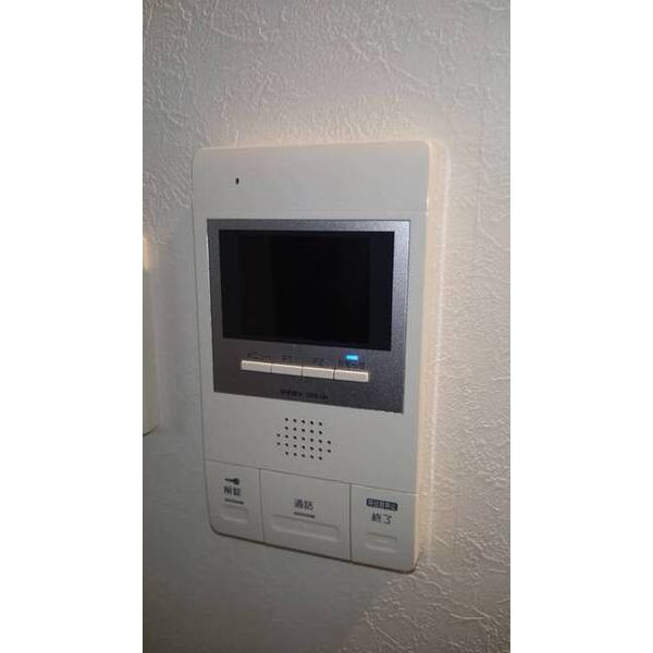 その他　（　訪問者を視認可　）