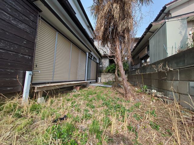 庭