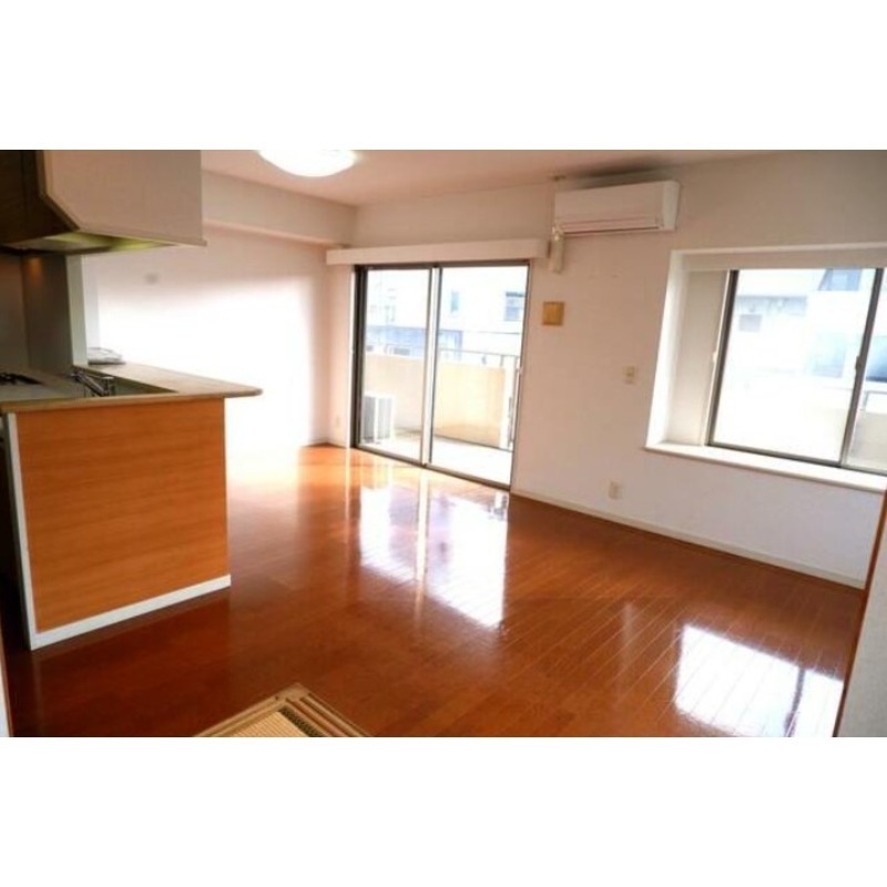 居室・リビング　ペット（犬・猫）可の分譲賃貸