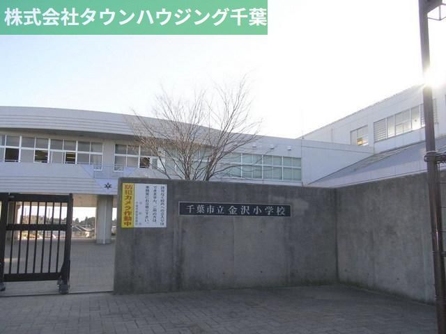 小学校　金沢小学校（小学校）まで593m