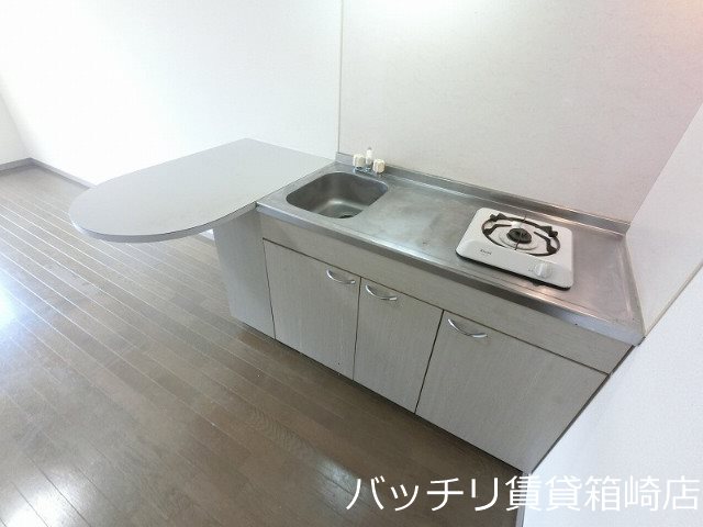 キッチン　同タイプのお部屋の為、現況優先です。