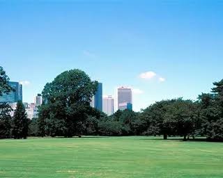 公園　帝釈天北広場緑地（公園）まで249m