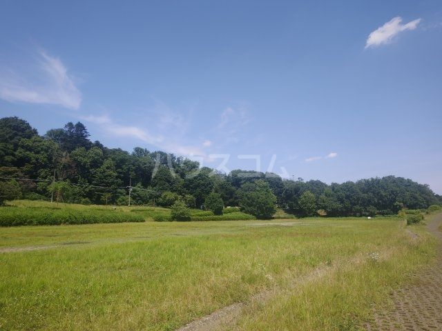 公園　武蔵野公園（公園）まで679m