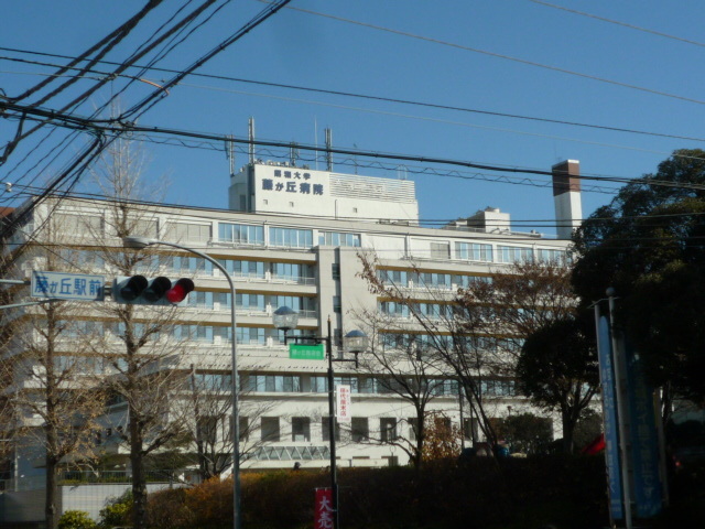 病院　昭和大学藤が丘病院（病院）まで1180m
