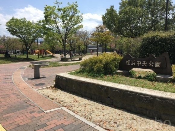 公園　姪浜中央公園（公園）まで1230m