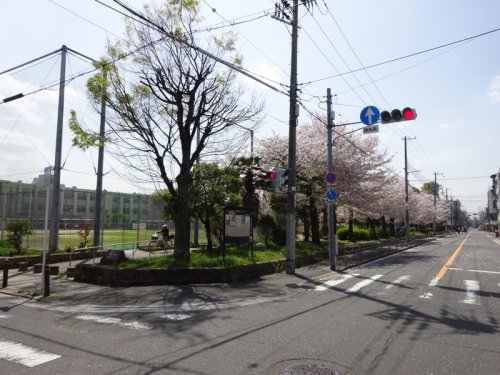 【川忠ビルの公園】