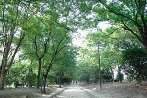 カムフォーラユー　元茨木川緑地（その他　330m）