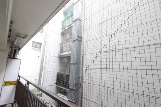 眺望　※別号室の写真です