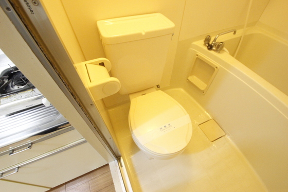 トイレ　※別号室の写真です