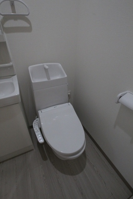 トイレ　同物件、別号室のものです。