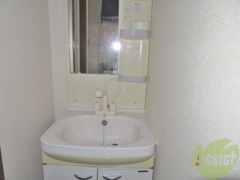 洗面設備　洗面台にシャワーが付いてますのでここで髪の毛のセット出来ます