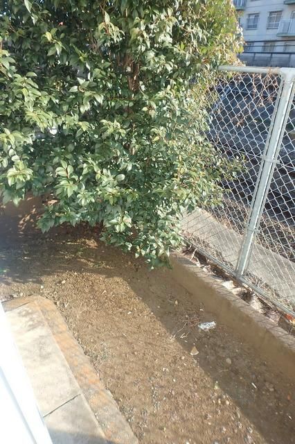 眺望　★専用テラス★