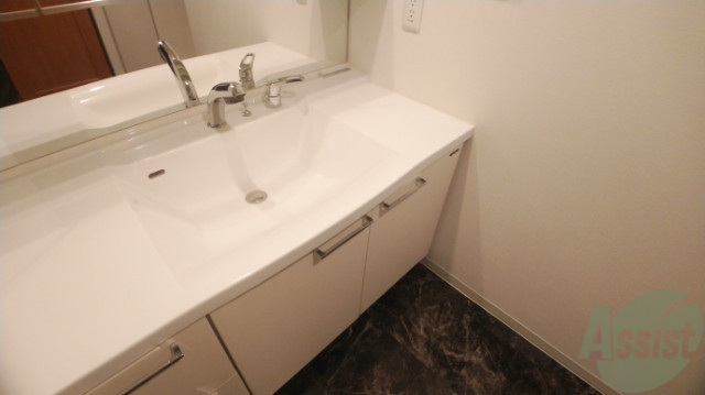 洗面設備　シャワーノズル付きの洗面台は、きれいで広くて使い易い。