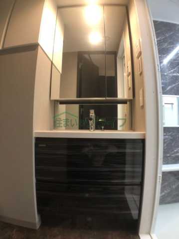 洗面設備　レクシード神楽坂 (別部屋参考画像)