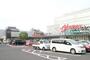 スーパー　オークワ本社中島店（スーパー）まで1076m