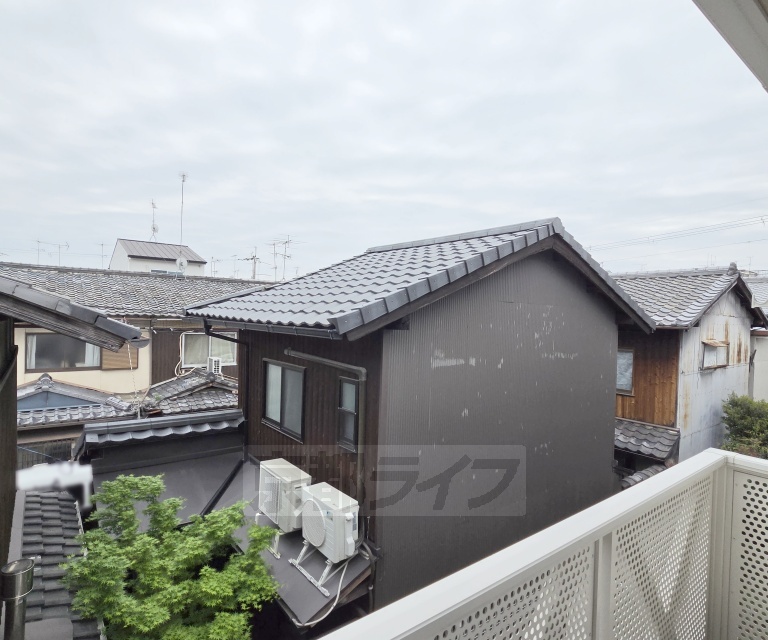 庭