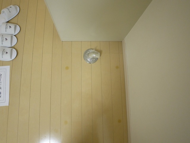 その他部屋・スペース　室内洗濯機置場