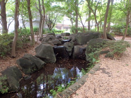 公園　せせらぎ公園（公園）まで1022m
