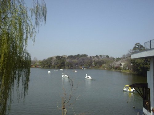 公園　洗足池（公園）まで1533m