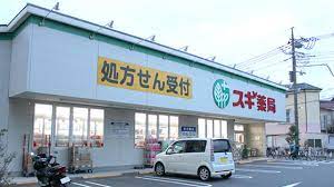 ドラックストア　アイン薬局 南六郷店（ドラッグストア）まで537m
