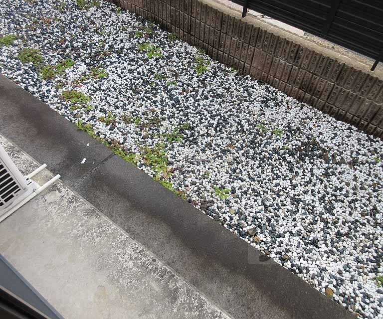 バルコニー　バルコニーです！