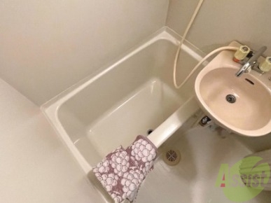 バス・シャワールーム　１人暮らしにはピッタリのサイズ感ですね！