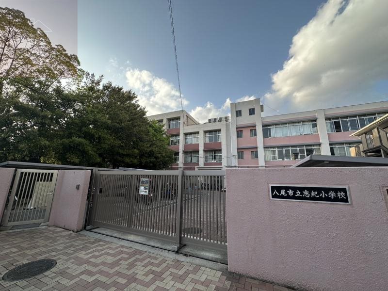 小学校　八尾市立志紀小学校（小学校）まで607m