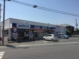 ドラックストア　ウエルシア毛呂本郷店（ドラッグストア）まで239m