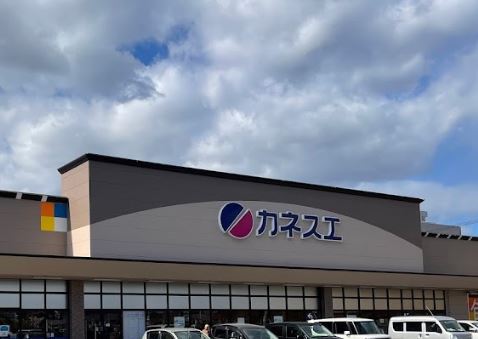 スーパー　カネスエ北園通店（スーパー）まで1195m