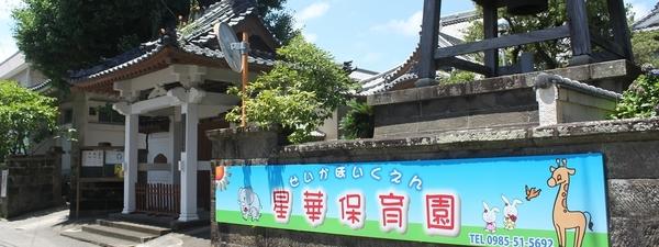 幼稚園・保育園　星華保育園（幼稚園・保育園）まで1046m